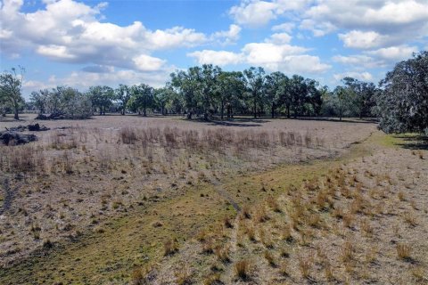Land in DeLand, Florida № 2212635 - photo 8