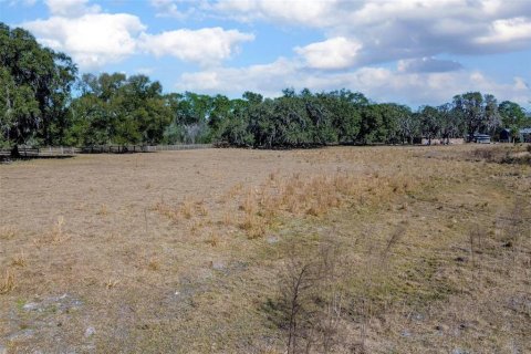 Land in DeLand, Florida № 2212635 - photo 7