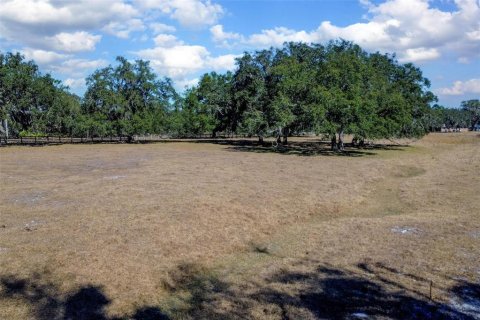 Land in DeLand, Florida № 2212635 - photo 6