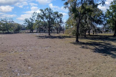 Land in DeLand, Florida № 2212635 - photo 26