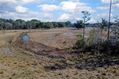 Land in DeLand, Florida № 2212635 - photo 14