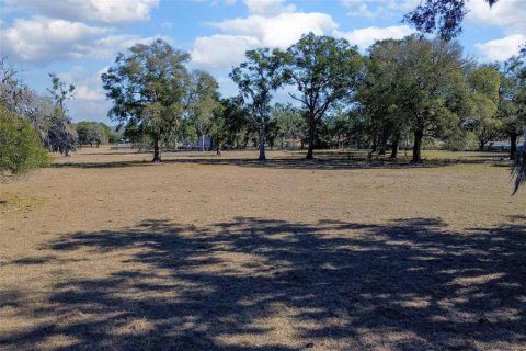 Land in DeLand, Florida № 2212635 - photo 19