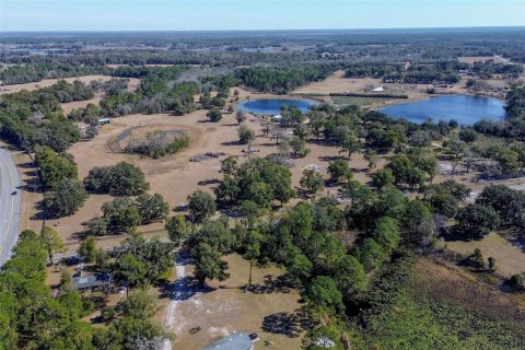 Land in DeLand, Florida № 2212635 - photo 10