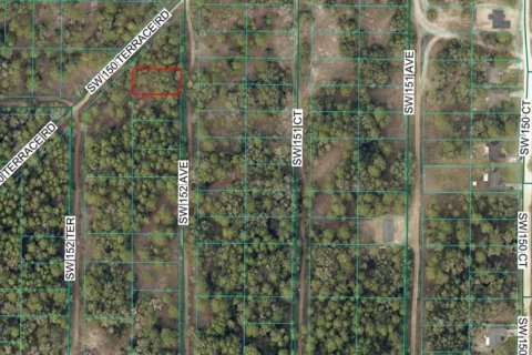 Land in Ocala, Florida № 2228674