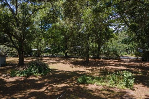 Land in Gainesville, Florida № 1805252 - photo 5