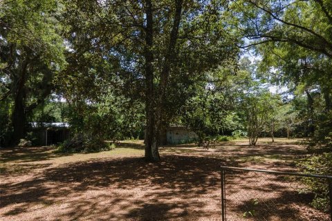 Land in Gainesville, Florida № 1805252 - photo 3
