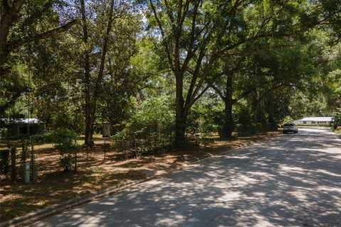 Land in Gainesville, Florida № 1805252 - photo 1