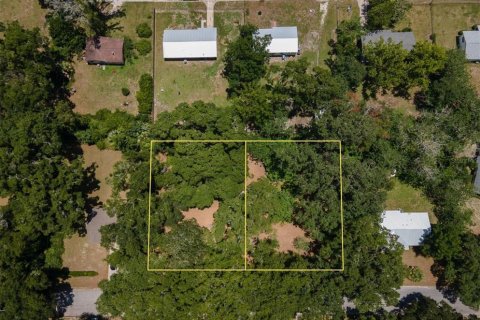 Land in Gainesville, Florida № 1805252 - photo 2