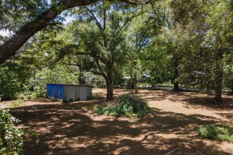 Land in Gainesville, Florida № 1805252 - photo 6