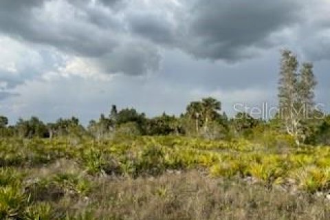 Terrain à vendre à Punta Gorda, Floride № 2218769 - photo 26