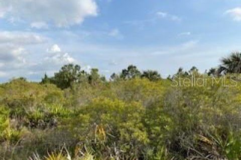 Terrain à vendre à Punta Gorda, Floride № 2218769 - photo 22