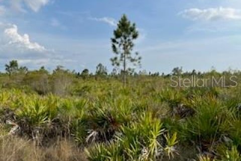 Terrain à vendre à Punta Gorda, Floride № 2218769 - photo 24