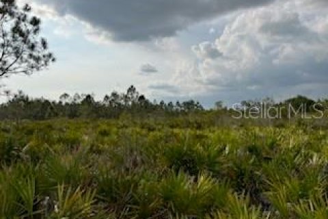 Terrain à vendre à Punta Gorda, Floride № 2218769 - photo 23