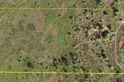 Terrain à vendre à Punta Gorda, Floride № 2218769 - photo 6