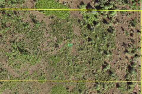 Terrain à vendre à Punta Gorda, Floride № 2218769 - photo 5