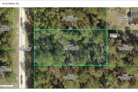 House in Weeki Wachee, Florida 3 bedrooms, 186.73 sq.m. № 2394063 - photo 6