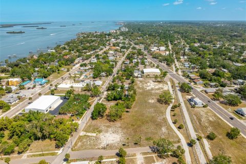 Land in Clearwater, Florida № 2101891 - photo 15