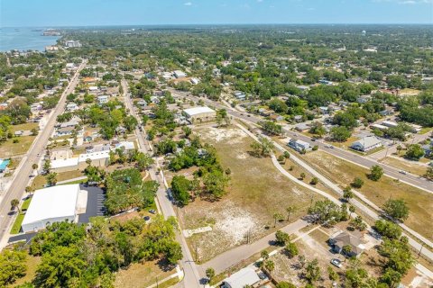 Land in Clearwater, Florida № 2101891 - photo 16