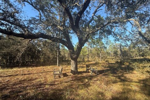 Terrain à Morriston, Floride № 2098708