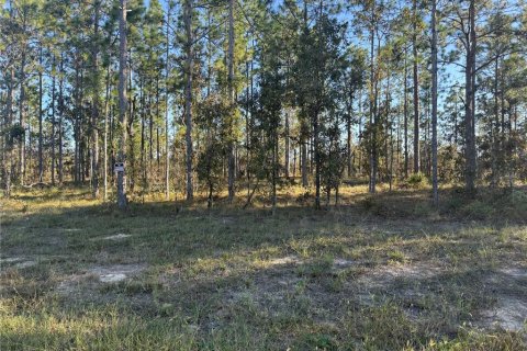 Terrain à vendre à Morriston, Floride № 2098708 - photo 21