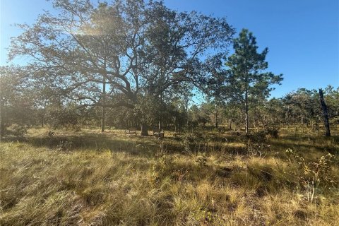 Terrain à vendre à Morriston, Floride № 2098708 - photo 6