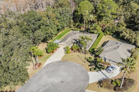 House in San Antonio, Florida 3 bedrooms, 232.26 sq.m. № 2135250 - photo 20