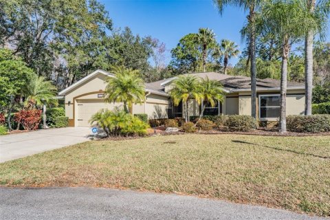 House in San Antonio, Florida 3 bedrooms, 232.26 sq.m. № 2135250 - photo 11