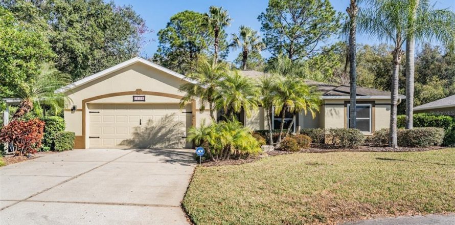House in San Antonio, Florida 3 bedrooms, 232.26 sq.m. № 2135250