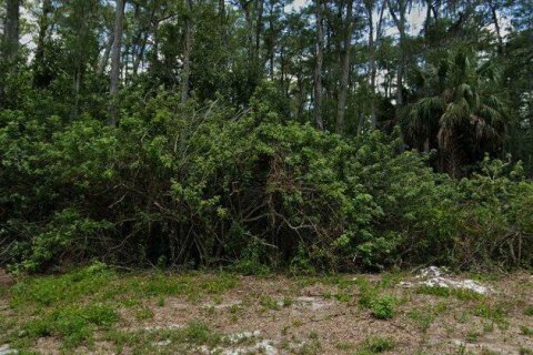Land in Lehigh Acres, Florida № 2239961