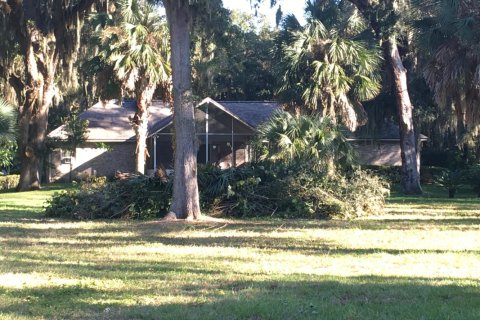 Land in Fernandina Beach, Florida № 845591 - photo 1