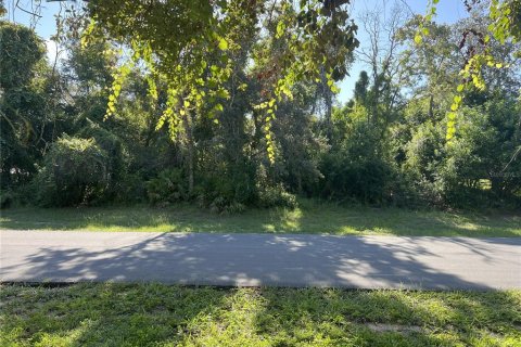 Land in Spring Hill, Florida № 1895071 - photo 2