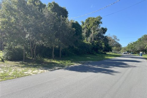 Land in Spring Hill, Florida № 1895071 - photo 6