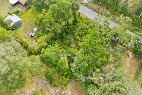 Land in Spring Hill, Florida № 2233191 - photo 13