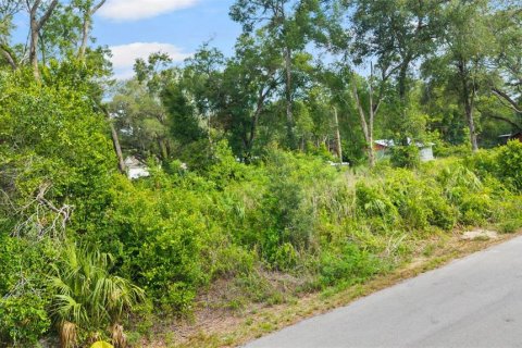 Land in Spring Hill, Florida № 2233191 - photo 16
