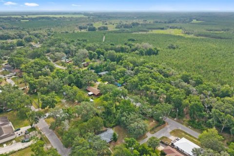 Land in Spring Hill, Florida № 2233191 - photo 5