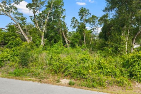 Land in Spring Hill, Florida № 2233191 - photo 15