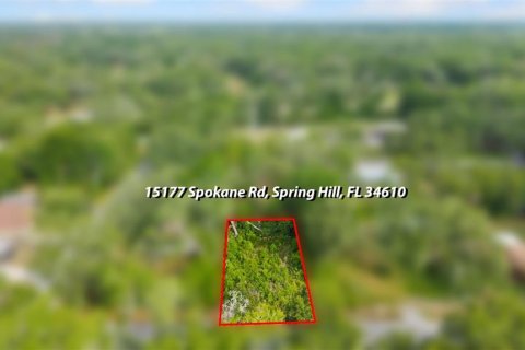 Land in Spring Hill, Florida № 2233191 - photo 9