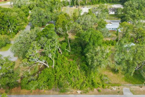 Land in Spring Hill, Florida № 2233191 - photo 17