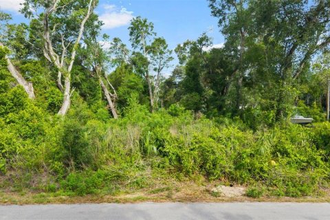Land in Spring Hill, Florida № 2233191 - photo 14