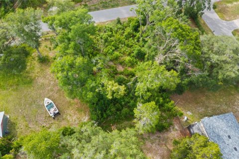 Land in Spring Hill, Florida № 2233191 - photo 12