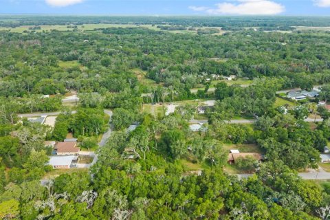 Land in Spring Hill, Florida № 2233191 - photo 8