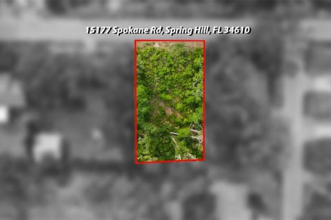 Land in Spring Hill, Florida № 2233191 - photo 2