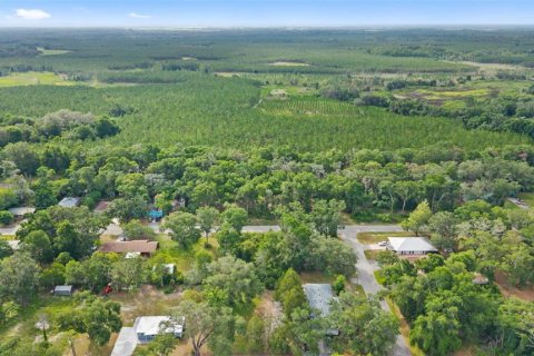Land in Spring Hill, Florida № 2233191 - photo 4