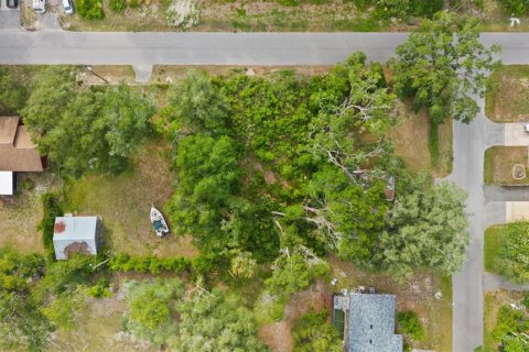 Land in Spring Hill, Florida № 2233191 - photo 3