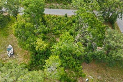 Land in Spring Hill, Florida № 2233191 - photo 11