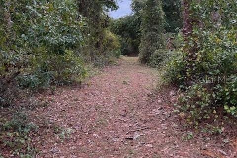 Land in Groveland, Florida № 1785522 - photo 1