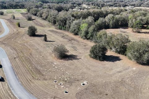 Terreno en venta en Ocala, Florida № 2143542 - foto 10