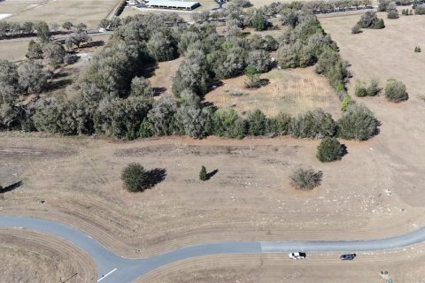 Terreno en Ocala, Florida № 2143542