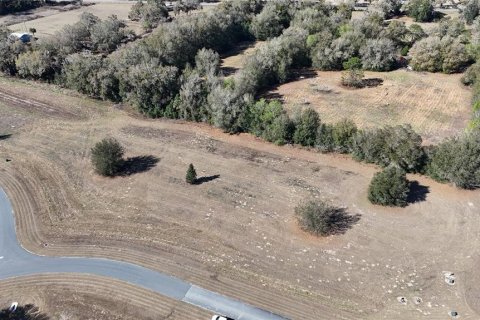 Terreno en venta en Ocala, Florida № 2143542 - foto 9