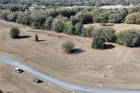 Terreno en venta en Ocala, Florida № 2143542 - foto 11